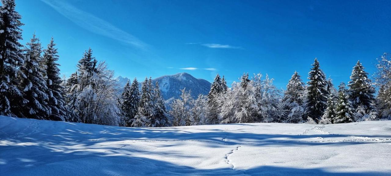 Apartma Ursic Kranjska Gora Zewnętrze zdjęcie