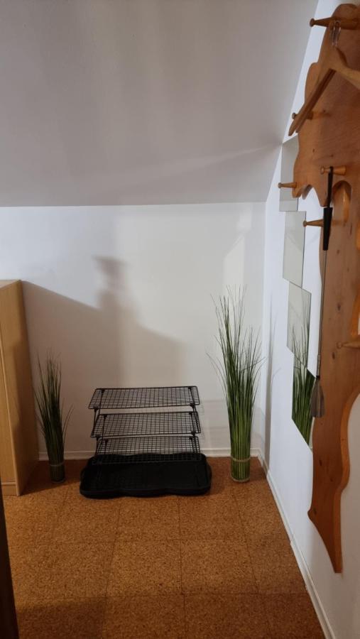 Apartma Ursic Kranjska Gora Zewnętrze zdjęcie